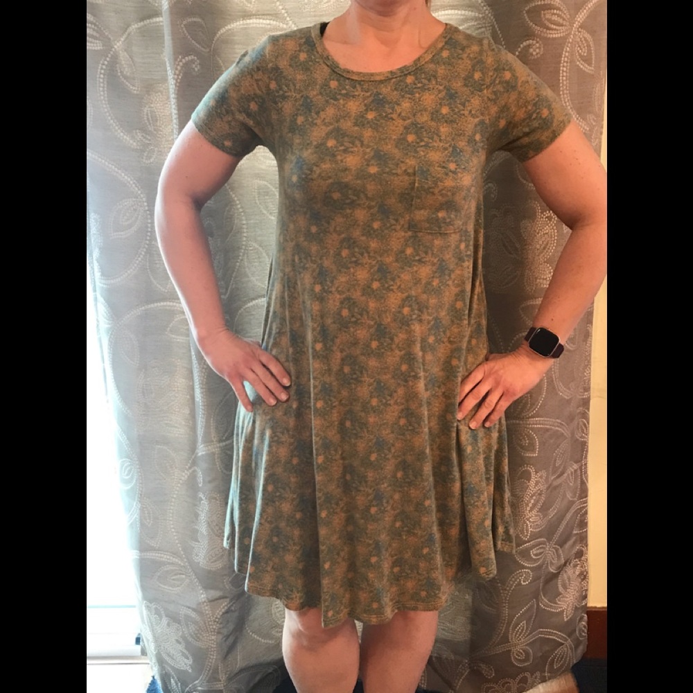 Lularoe Carly dress